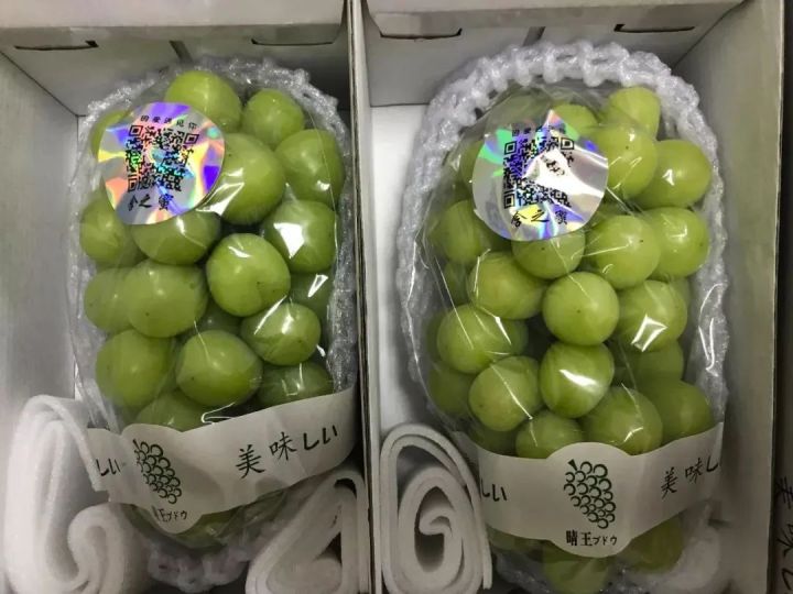 阳光玫瑰网红水果,阳光玫瑰水果视频