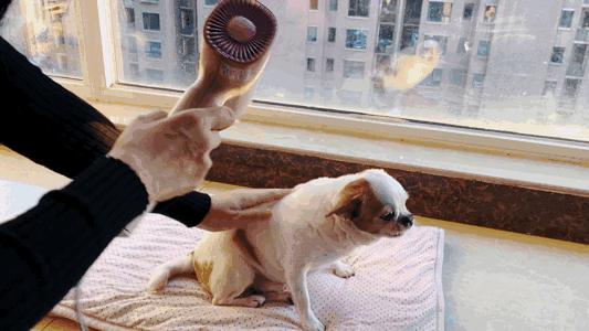 松下naoh吹风机测评,松下naoh吹风机