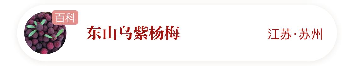 国家地理标志产品仙居杨梅,杨梅地理