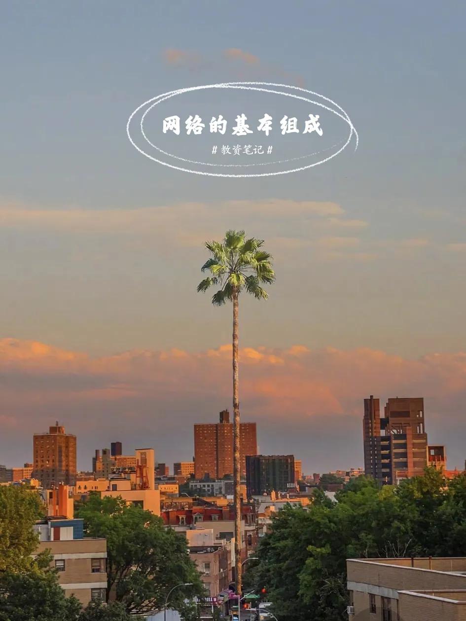 教资高中信息技术大题,高中信息技术知识框架