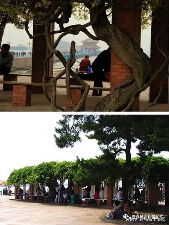 青岛中山路上著名的老街,青岛太平路街景