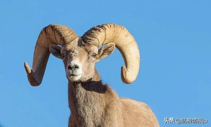 入门级遥控航模开箱测评,航模涡扇测试