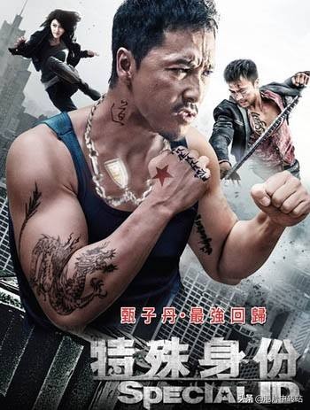 甄子丹巅峰动作片合集,甄子丹最经典电影全集免费