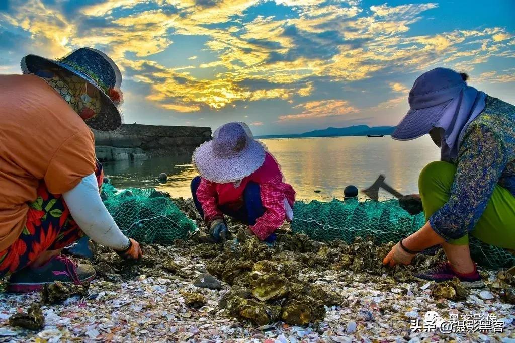 精致小青岛，秀美渔村入画来