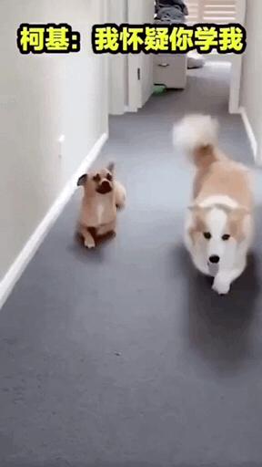 学会这招不愁找不到女朋友,学会这几招不怕找不到女朋友