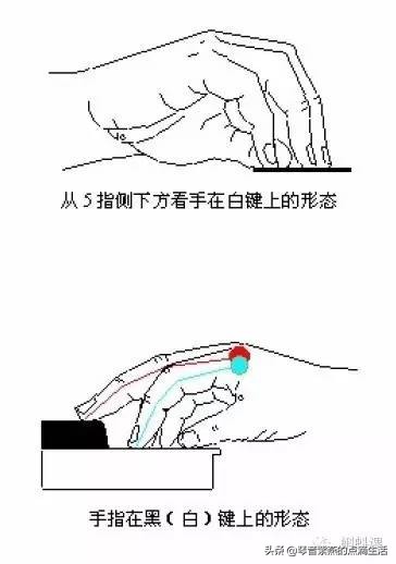 自学电子琴入门电子琴指法如何学,零基础弹电子琴教程母亲