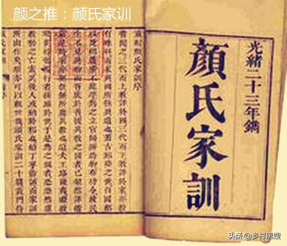 最好的莼菜,莼菜到底是什么菜