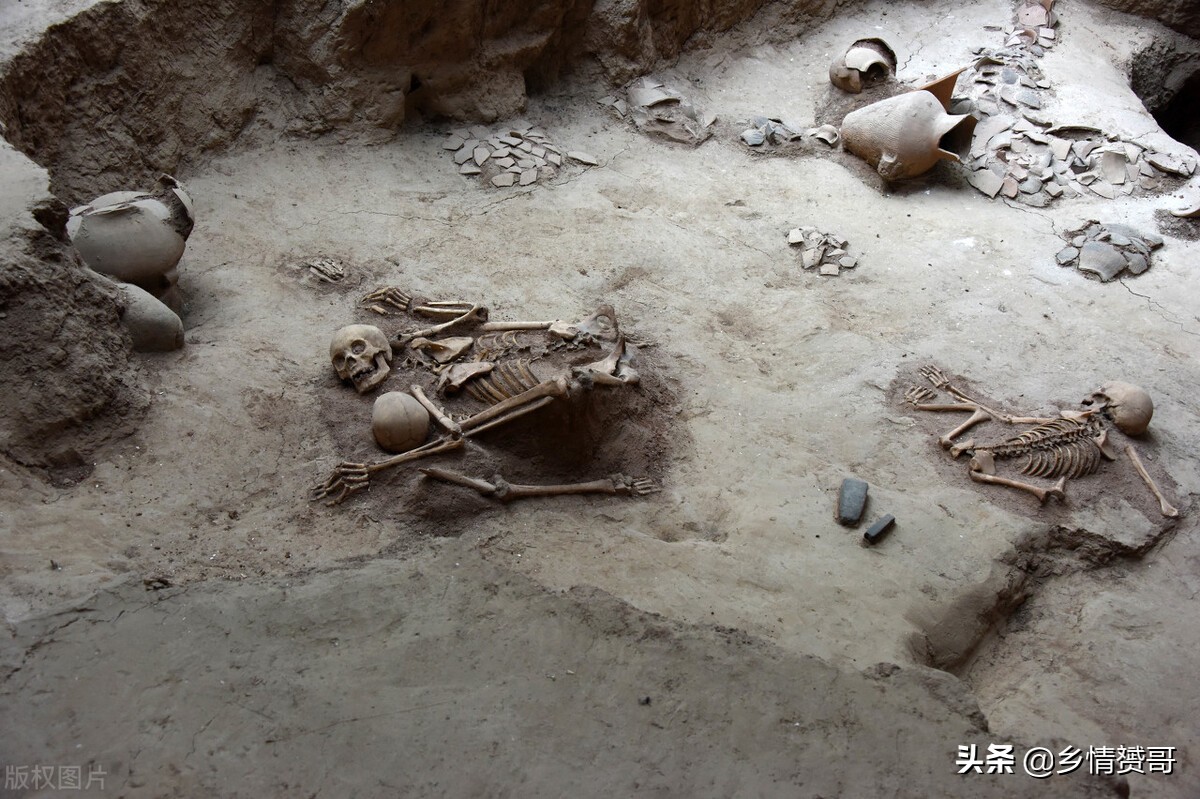 又到5.12，“猪坚强”不再坚强，忆那年农村