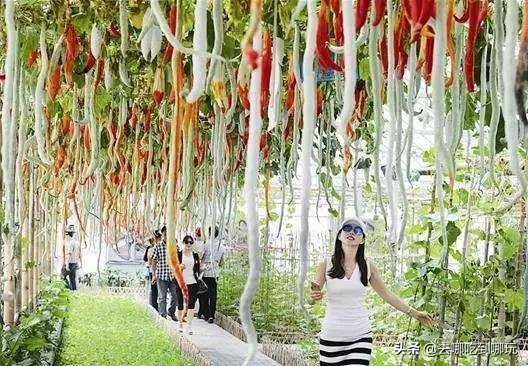 69.9抢惠州罗浮山漂流门票89元抢漂流门票+空中田园
