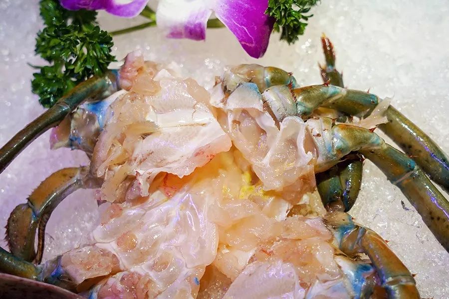 港式花胶鸡打边炉正宗做法,简易龙虾汤泡饭