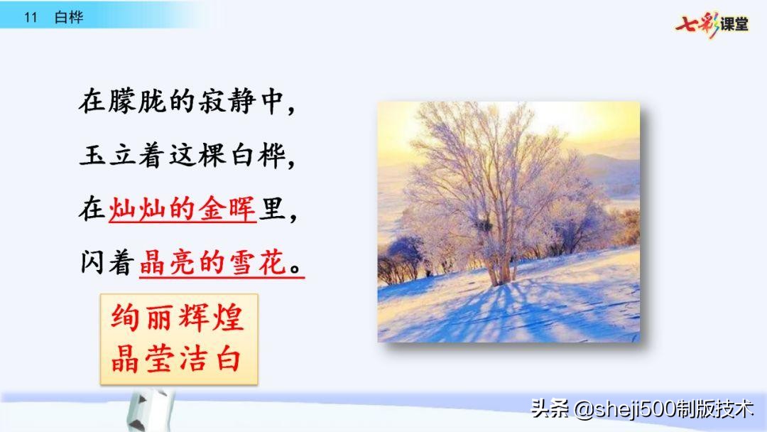 语文教科书四年级下册11课白桦,四年级语文书下册白桦讲解及预习