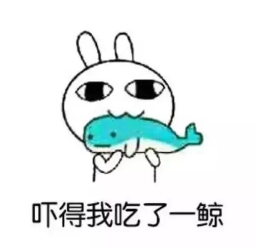 网上花钱买宠物违法吗,网上购买的宠物怎么维权