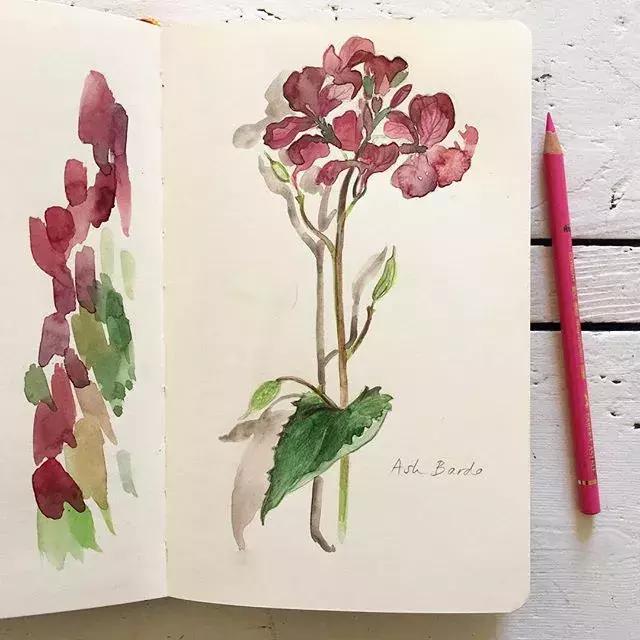 如何用手账本做一篇漂亮的手账,青春专属手帐