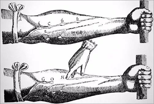 开膛手杰克的故事,开膛手杰克的过往