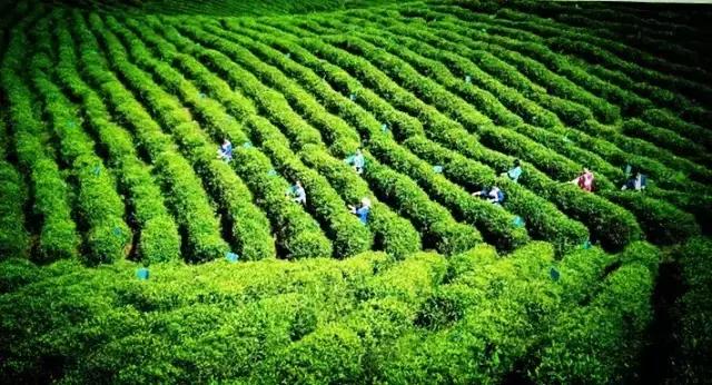 这里是贵州,这里是黔东南