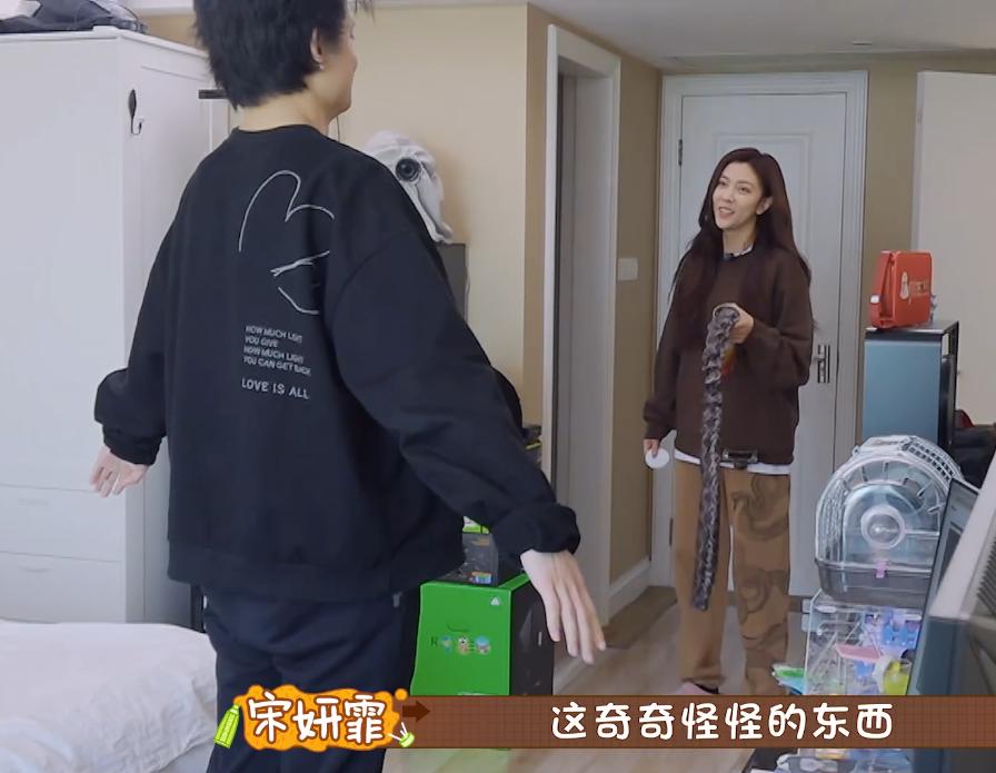 做家务的男人黄景瑜陈学冬第几期,做家务的男人黄景瑜陈学冬在哪季