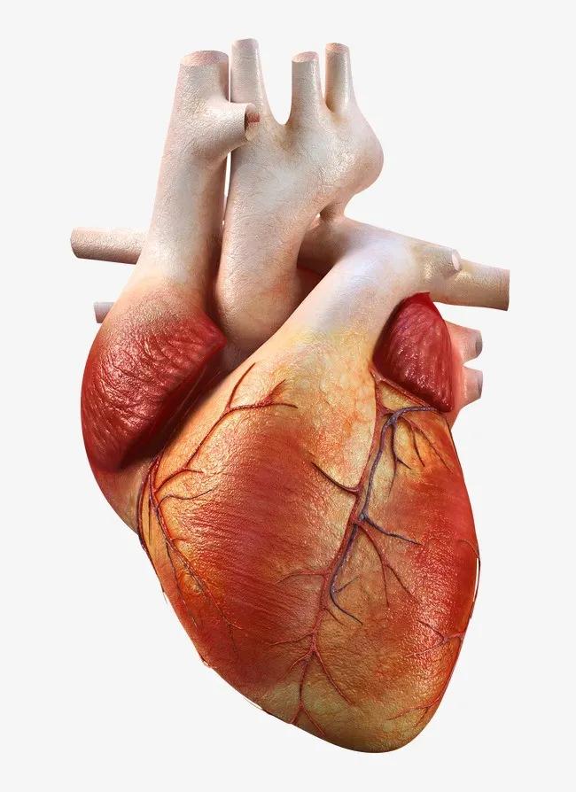 丹麦足球运动员心脏骤停,丹麦球员晕厥