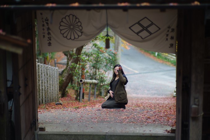 京都赏枫2022,京都赏枫必去景点有哪些好玩的