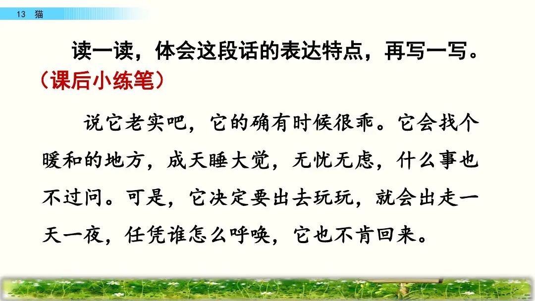 四年级下册语文13课猫课文解析,部编版四年级下册13猫教学视频