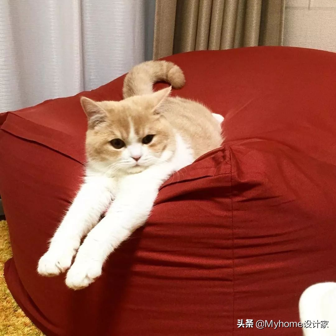 muji宜家必买小物品,宜家muji什么档次