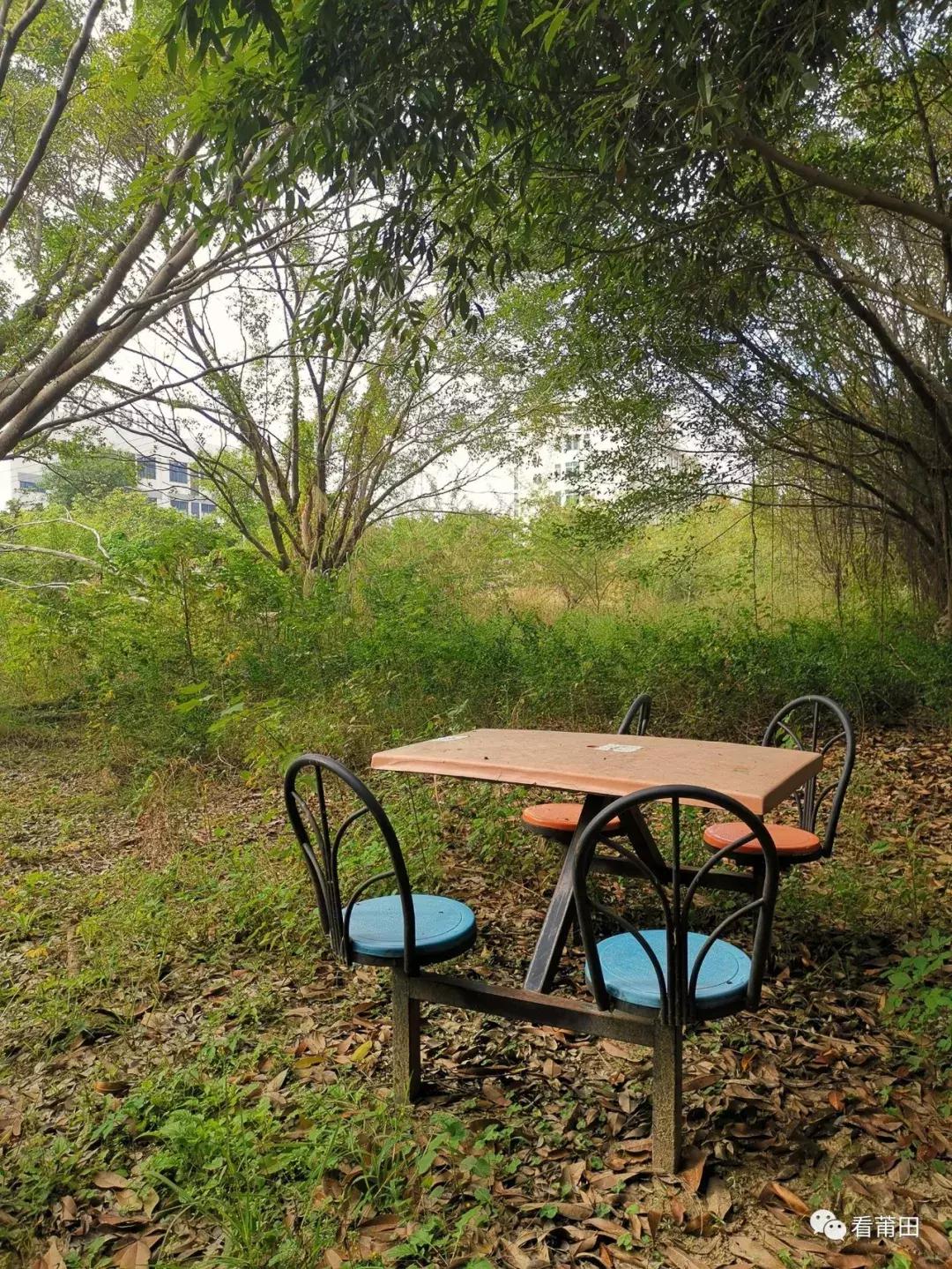 莆田快乐农庄风景视频,莆田华林快乐农庄