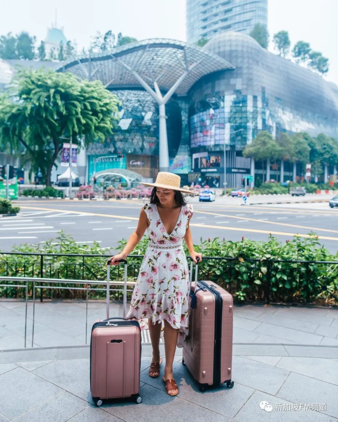 新加坡网红拍照店,新加坡网红点如何拍照