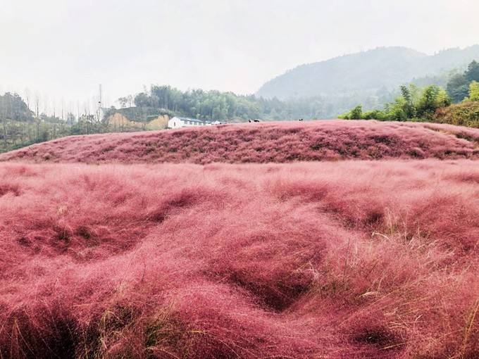 出国旅游担心语言问题,出国旅游预订机票口语