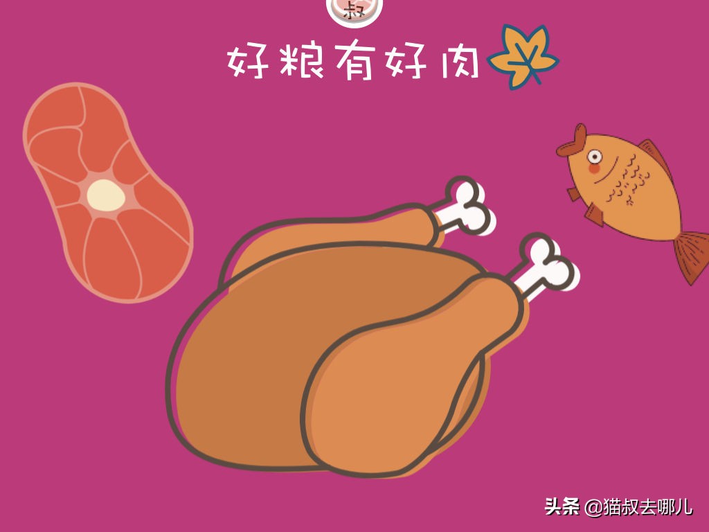 2023猫粮排行榜前十名推荐,2018年最佳全猫粮榜单