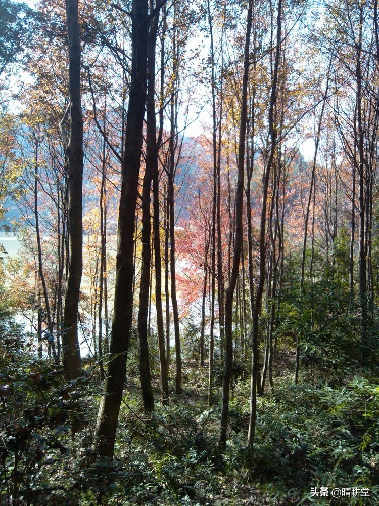 赣州峰山附近一日游自驾游景点,赣州峰山美景