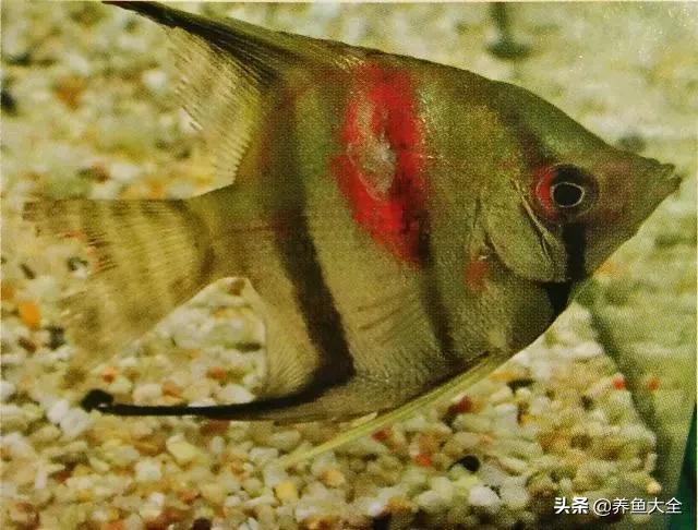 疾病科普小讲堂,疾病知识小讲堂