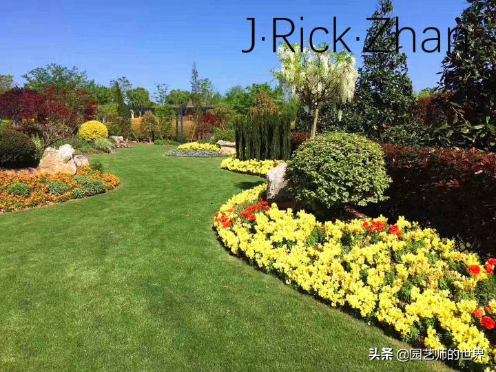 适合北方庭院种植的低矮草坪,家庭庭院怎样混搭种植草坪和蔬菜