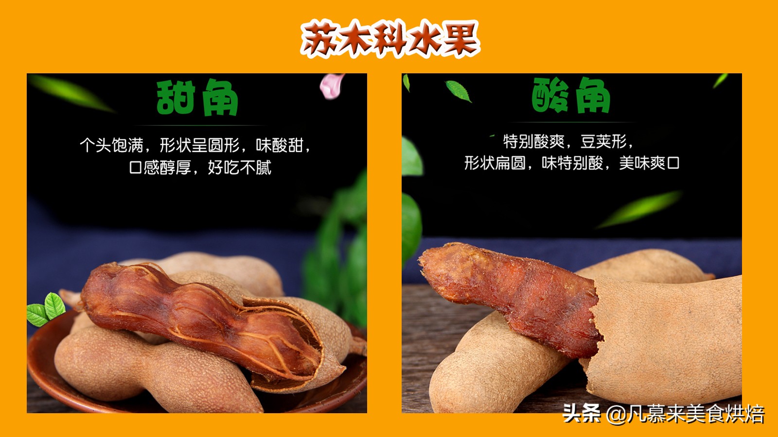 水果百科知识大全水果种类,水果种类大全水果如何分类