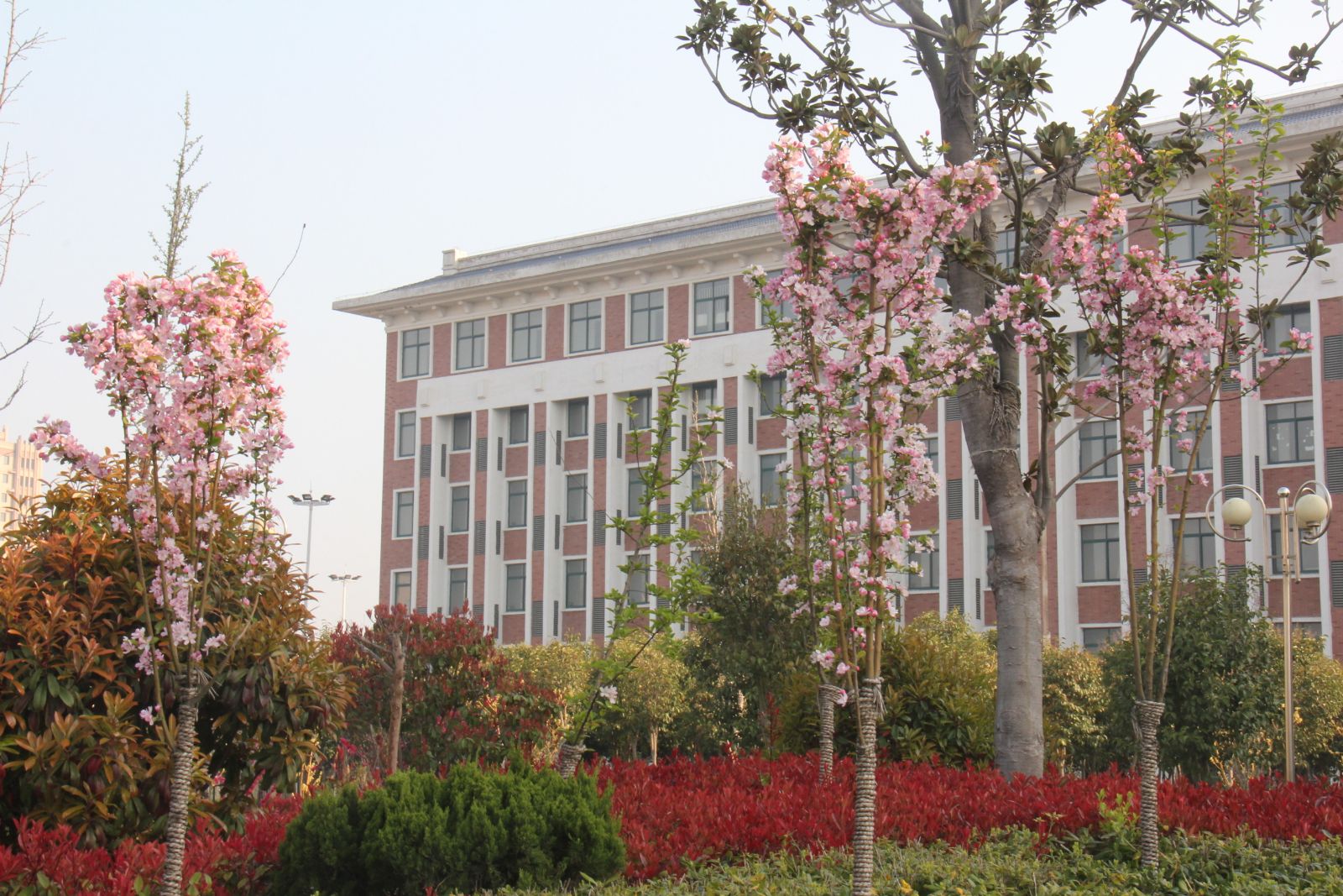 鎮犳偁宀佹湀杈夌厡鍘嗗彶,鎮犳偁宀佹湀鐩愬煄