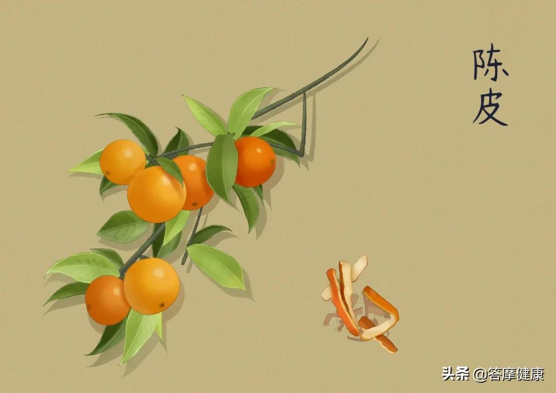 湿疹、犯困…折磨人的「湿邪」到底是什么？怎么辨？怎么治？