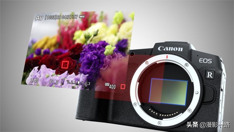 佳能全幅微单eosr可以拍鸟吗,佳能全画幅eosrp