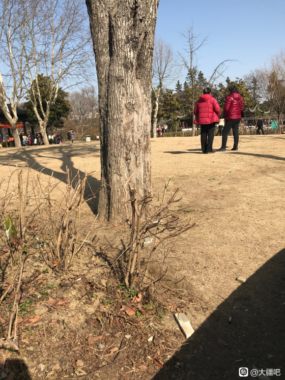 djimavic2air,djimavicair2椋炰涪