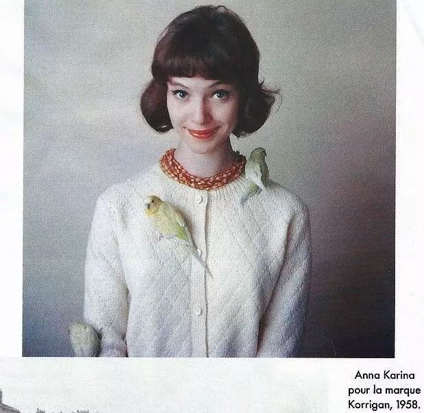 法国新浪潮恋人：他用电影为她书写情书，又用电影同她告别