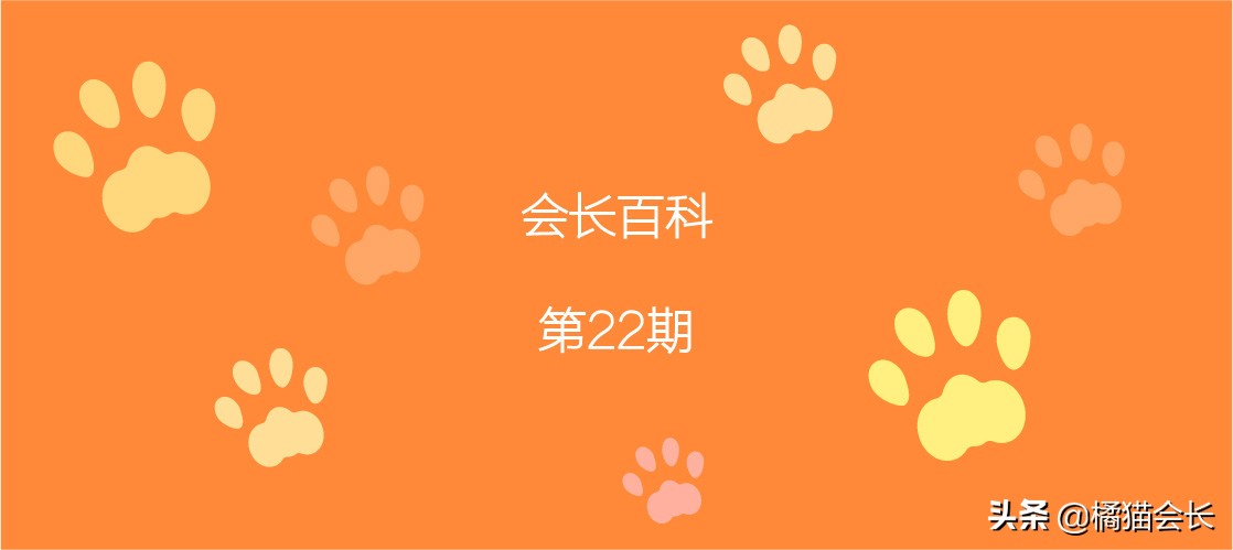 养母猫有什么要注意,养母猫有什么需要注意的吗