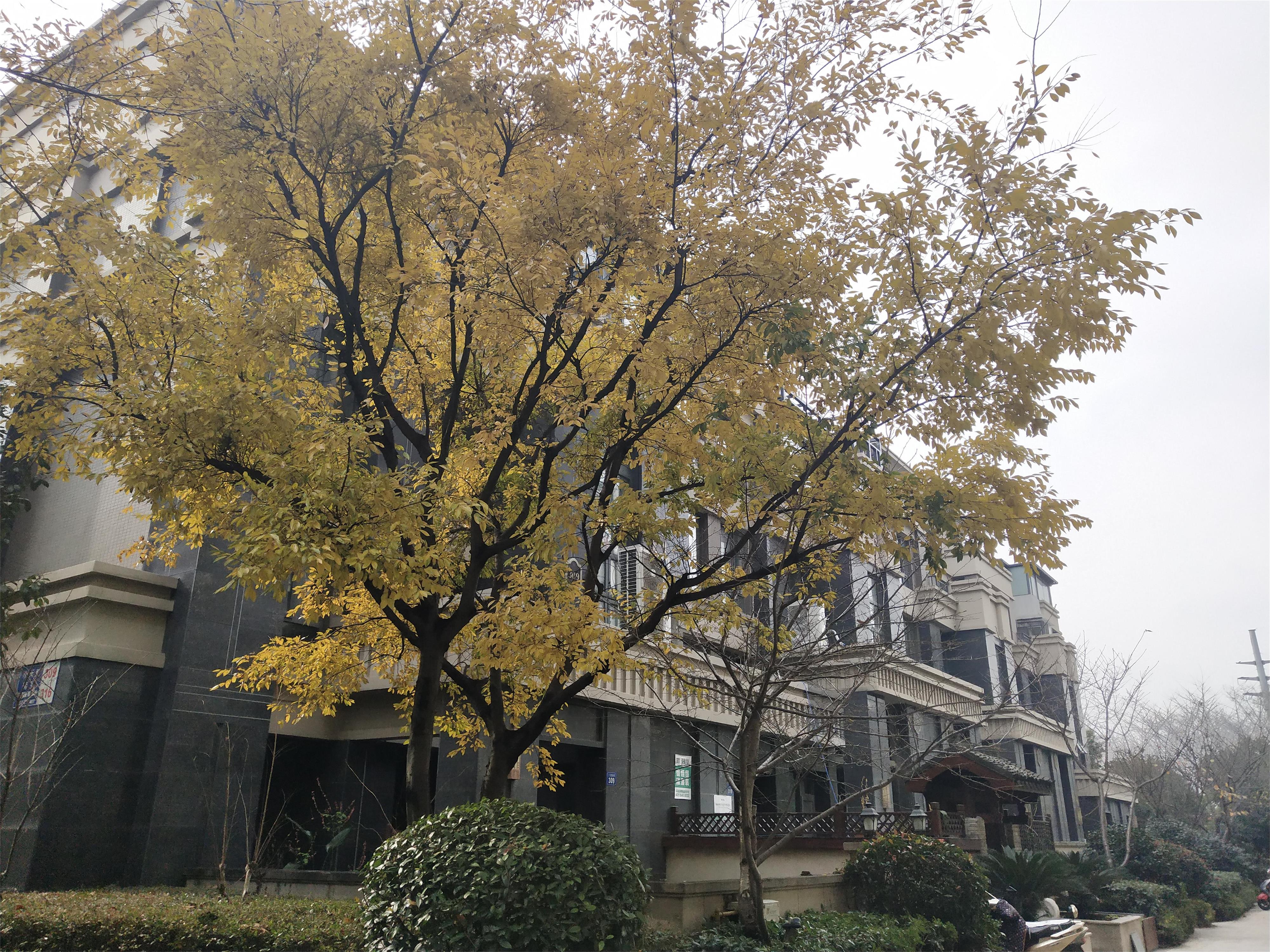 百乐广场推荐,无锡百乐白金汉爵