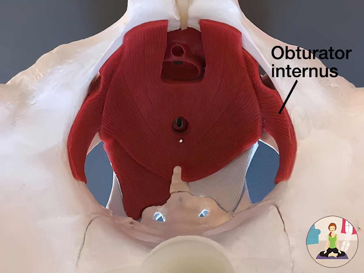 张雨绮怎么瘦成吴谨言了,张雨绮瘦的时候