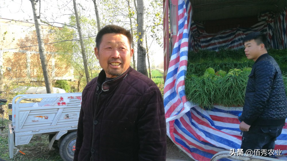 农民种植业赚钱吗现在,农村什么种植业最挣钱的