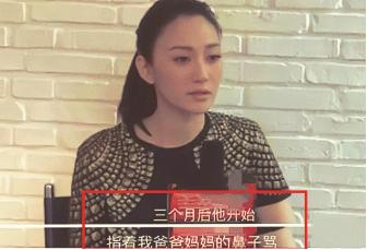 梅婷和李小冉近况,李小冉插足梅婷婚姻