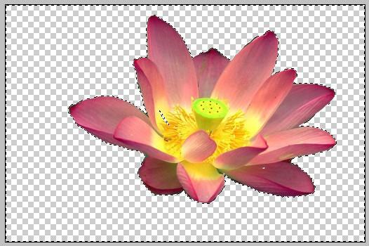 ps新手快速入门一对一教程,ps进阶教程全套免费自学