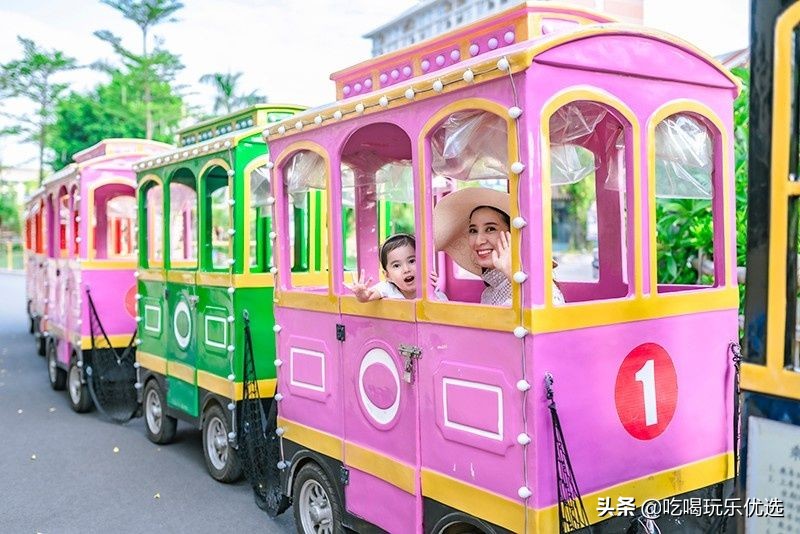 厦门灵玲动物王国大熊猫,厦门马戏团灵玲动物王国观光游览