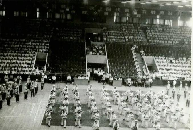 百年天津老照片,百年前的老天津卫
