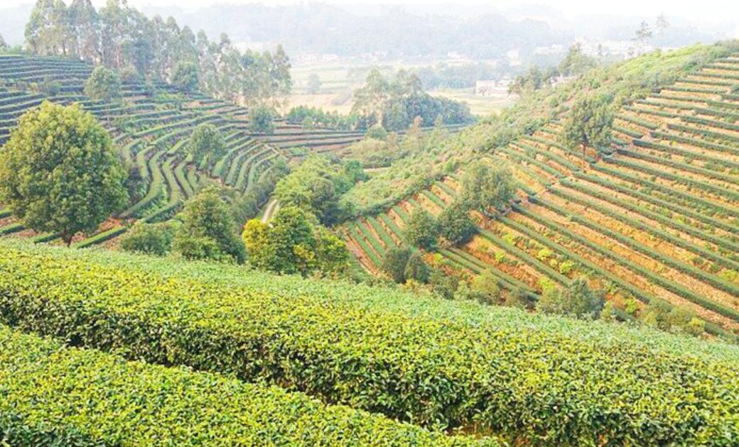 如果穿越到古代你会怎么做生意,如果穿越回到过去怎么赚钱