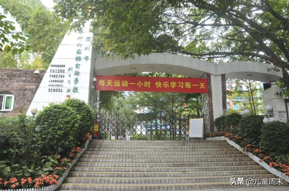 深圳十大顶级小学,深圳10大顶级小学