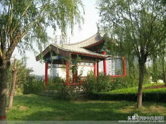 世界中诗旭月传媒.中诗国际文学总社（诗友合辑）