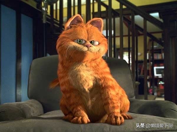 买意大利面肉酱,买意大利面买什么牌子的