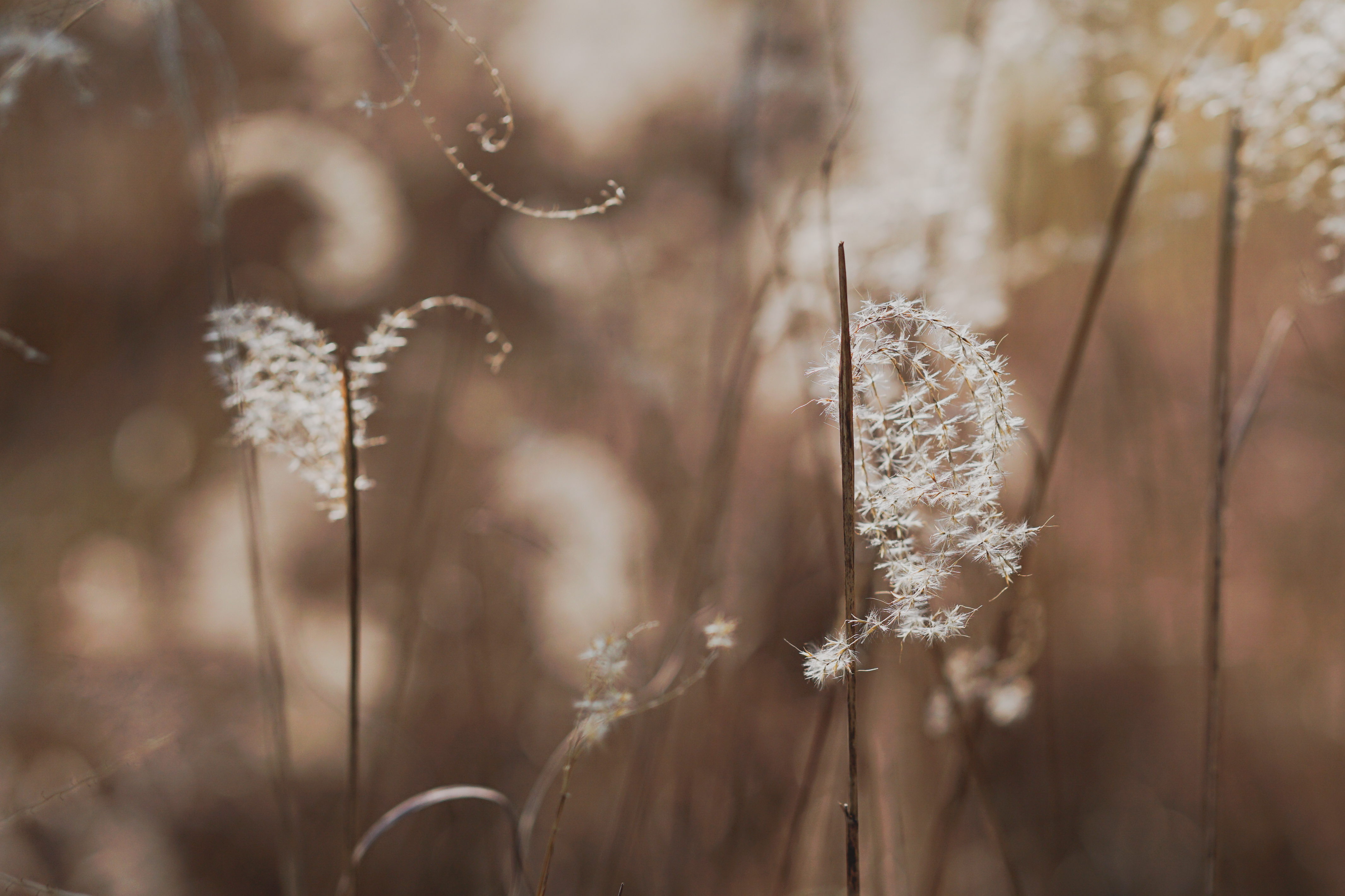 p图好用的手机app,苹果手机常用的app推荐